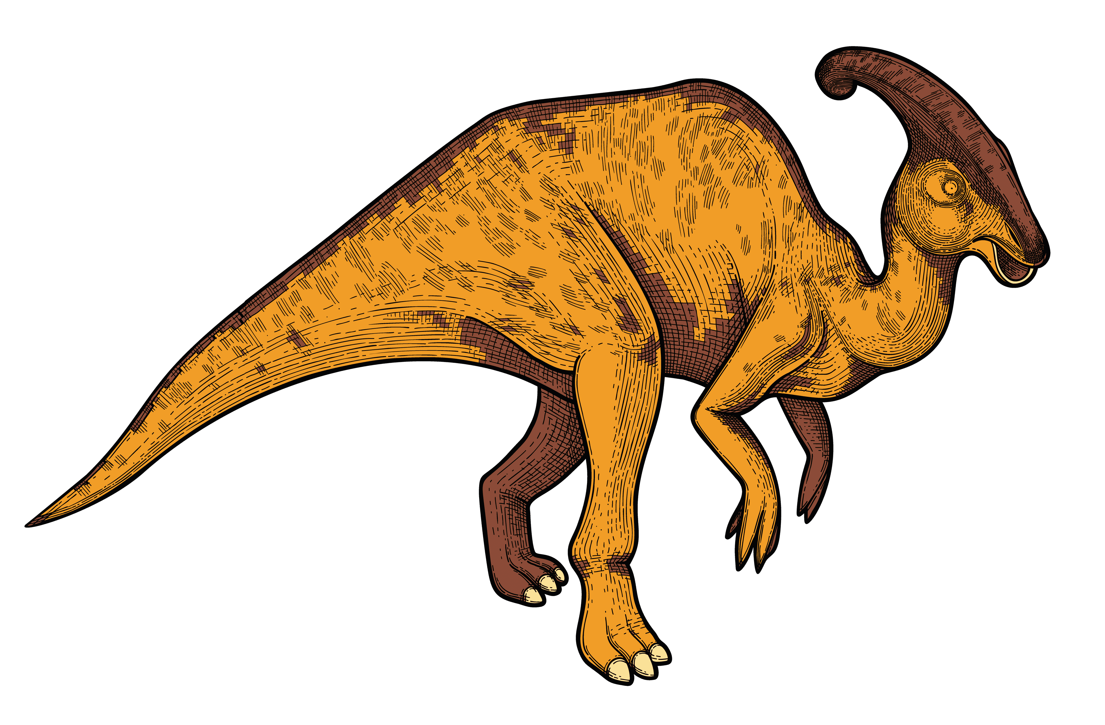 Charonosaurus nahled min