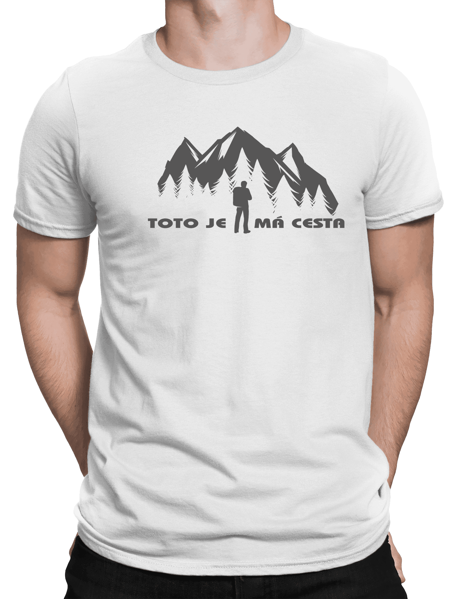 Cestovatel a cesta