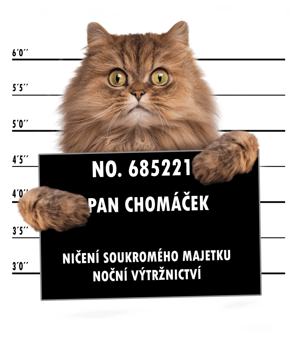 PAN CHOMÁČEK