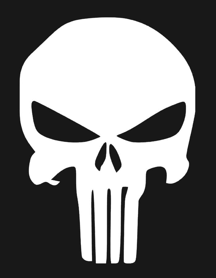 Mikina Punisher skull