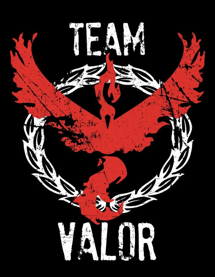 Mikina Pokemon Team Valor
