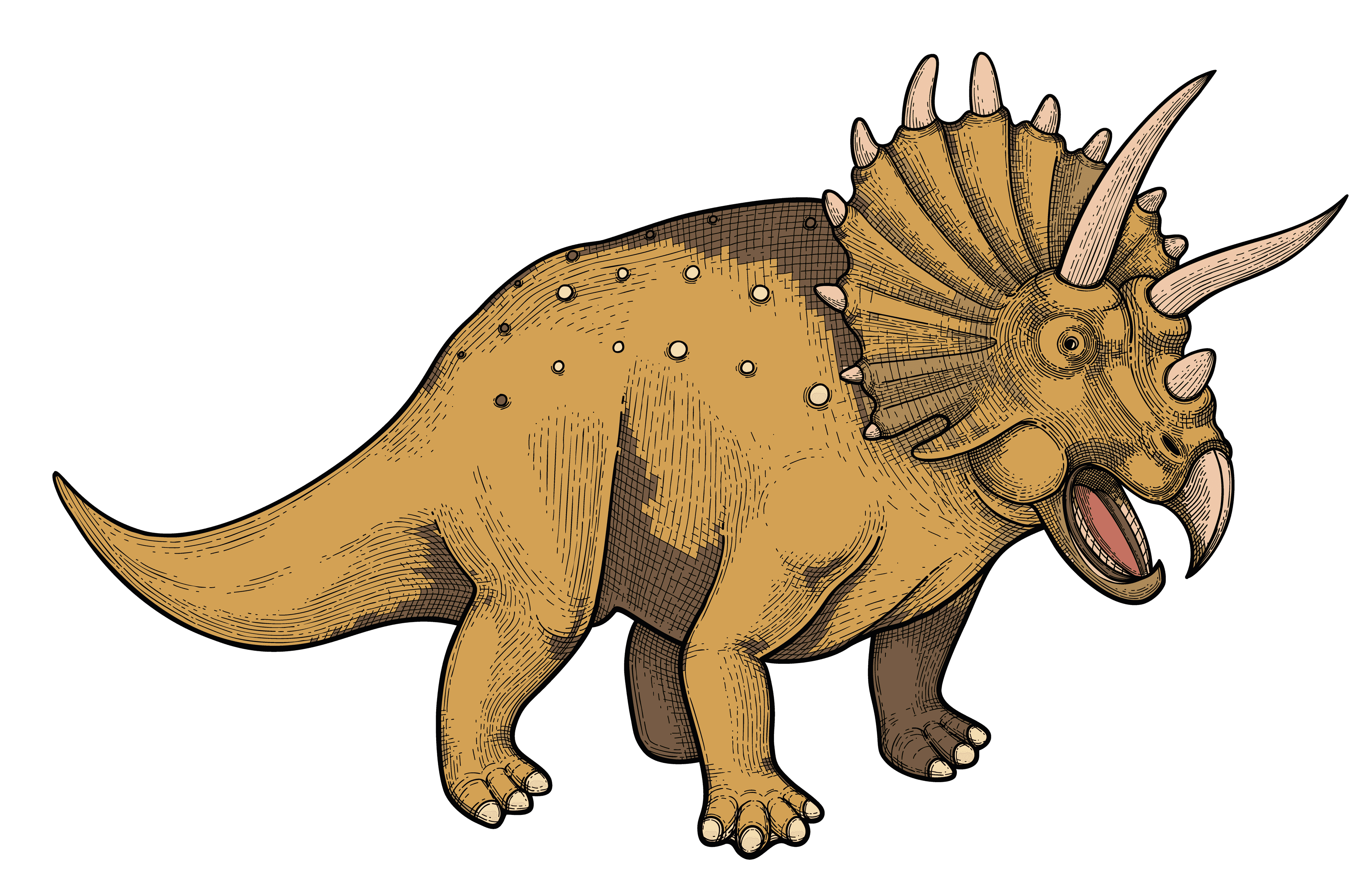 Triceratops nahled min