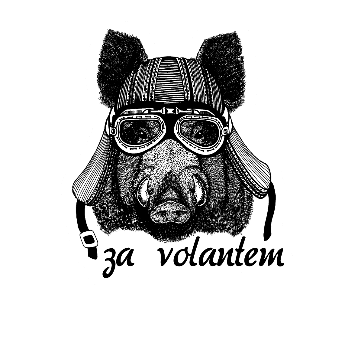 nahled prase za volantem
