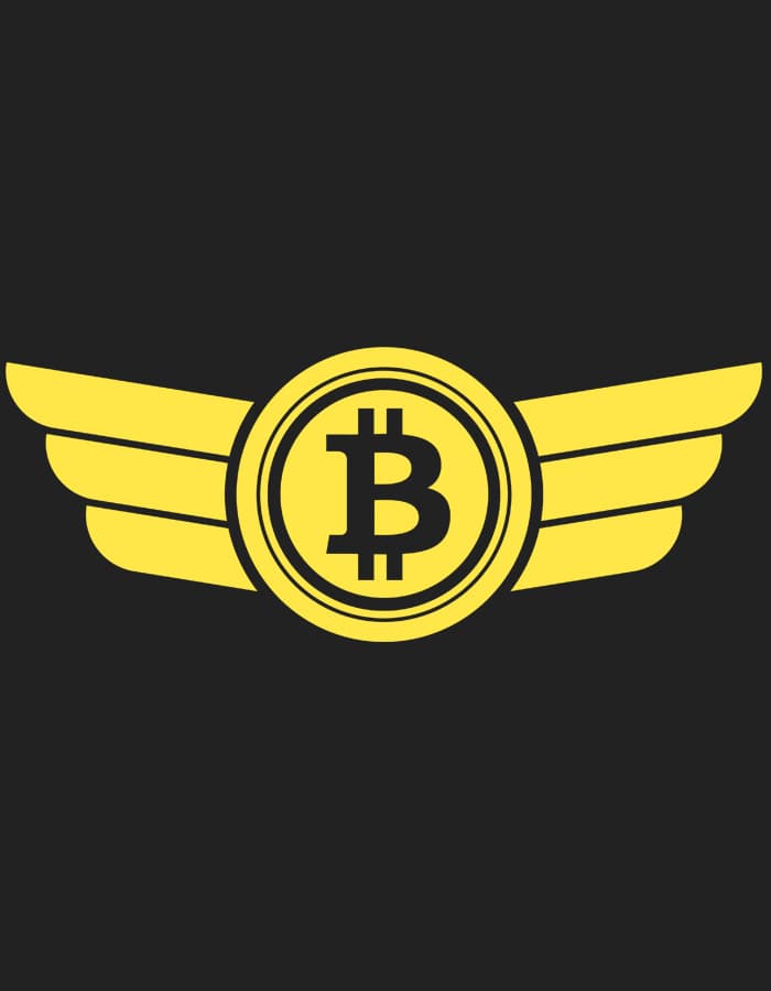Tričko s potiskem Bitcoin Logo Wings