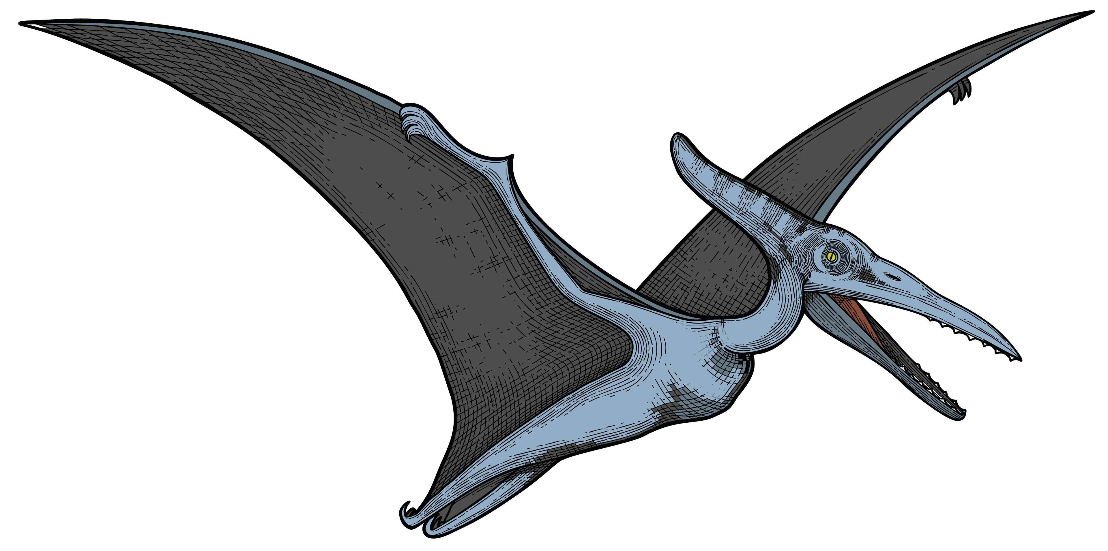 Pteranodon nahled min