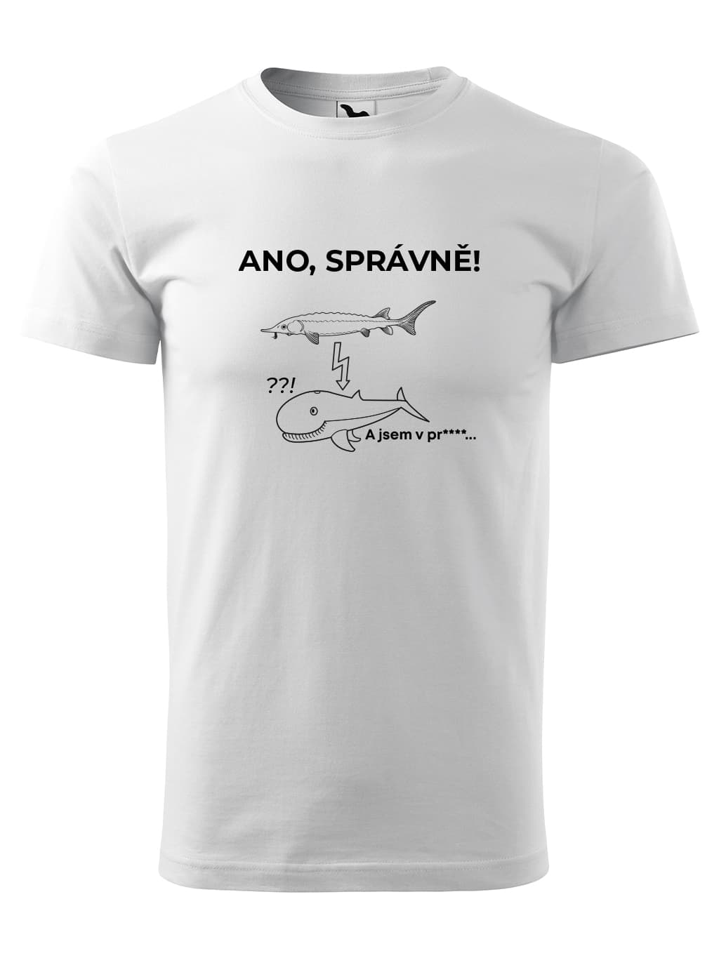 07 ANO SPRAVNE RYBY W