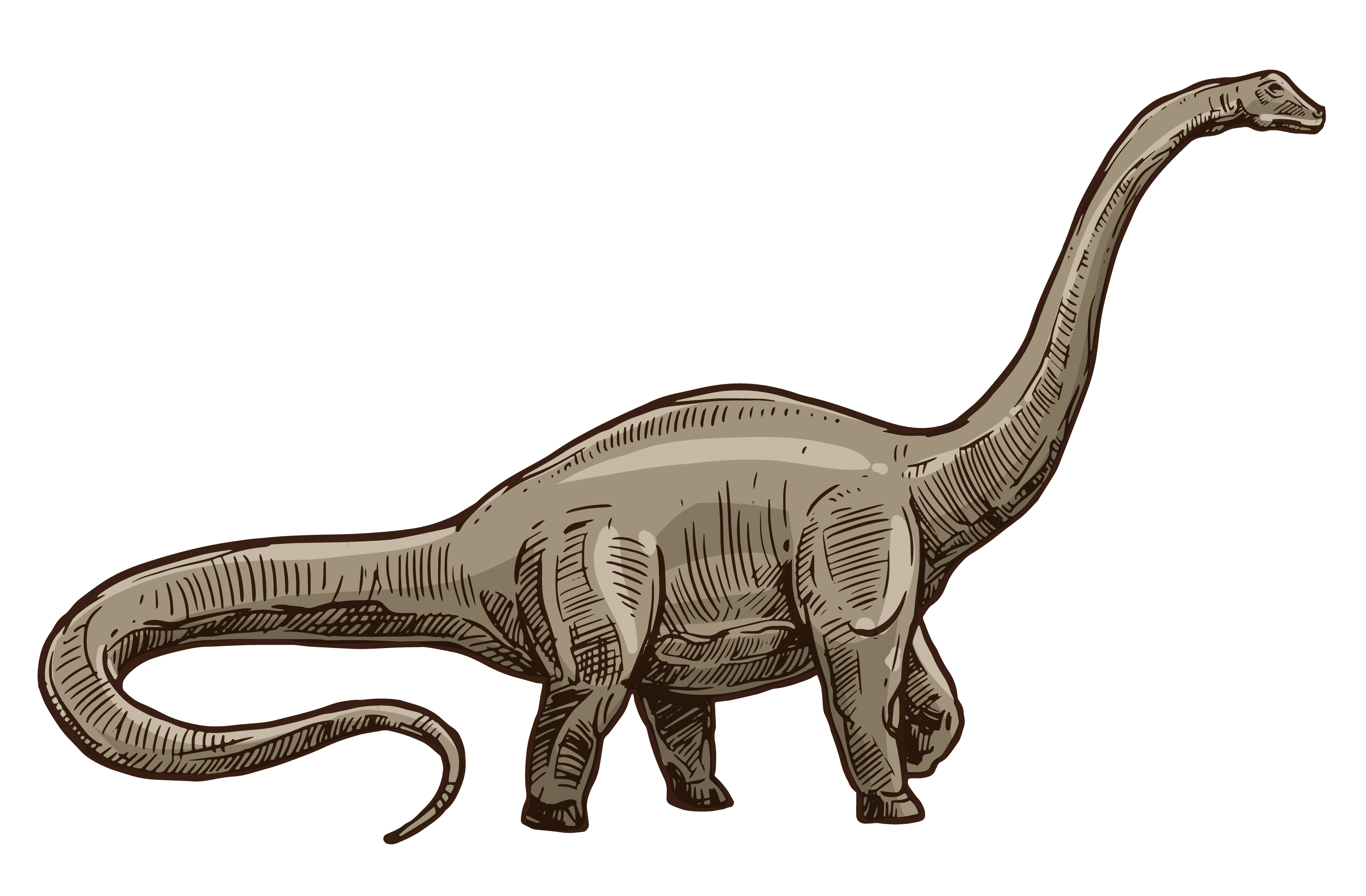 Brontosaurus nahled min