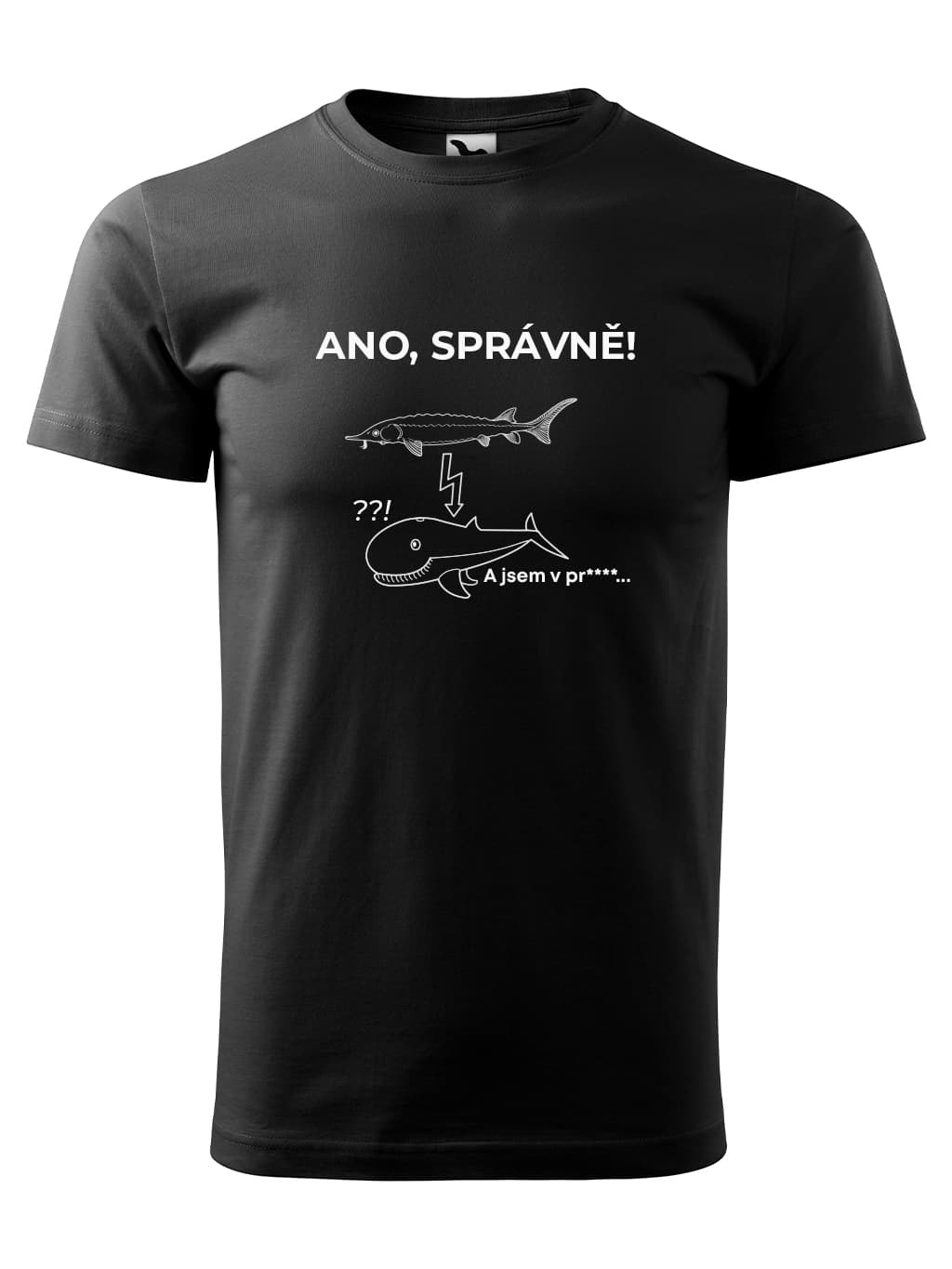 07 ANO SPRAVNE RYBY B